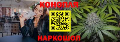 гашик Новодвинск