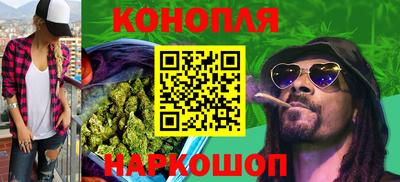 ГАЛЛЮЦИНОГЕННЫЕ ГРИБЫ Новозыбков