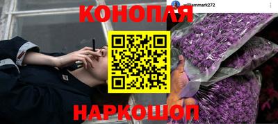 хмурый Новокубанск