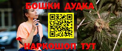 гашик Новодвинск