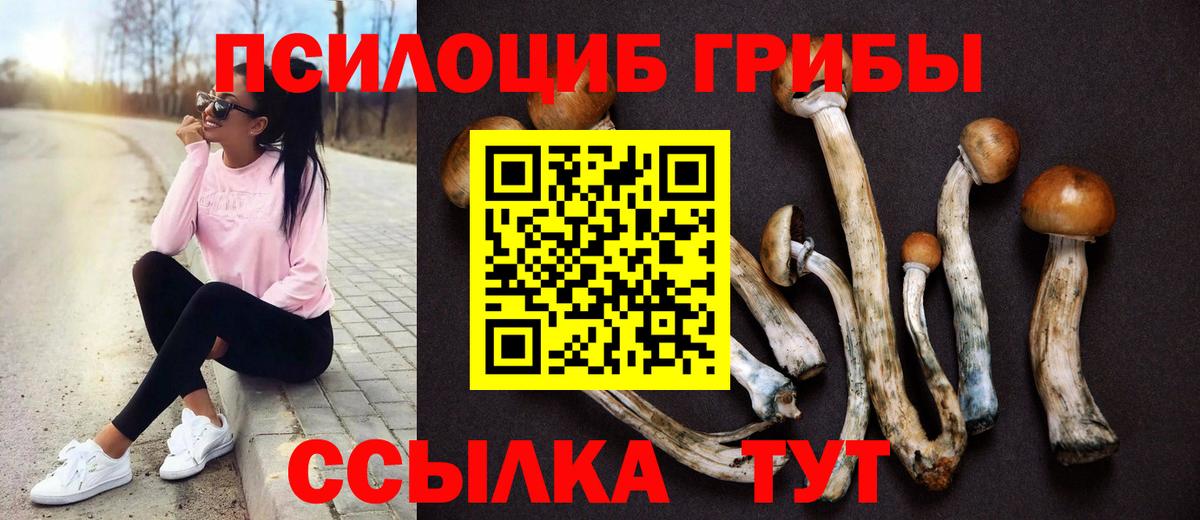 Псилоцибиновые грибы MAGIC MUSHROOMS Саяногорск