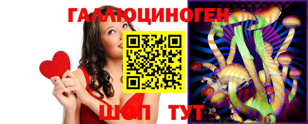 Саяногорск  Псилоцибиновые грибы Psilocybe  Вход с VPN  Галлюциногенные грибы Psilocybe 